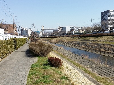 大栗川　京王堀之内駅付近