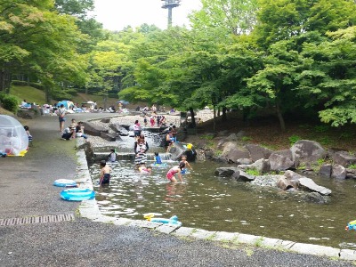 一本杉公園