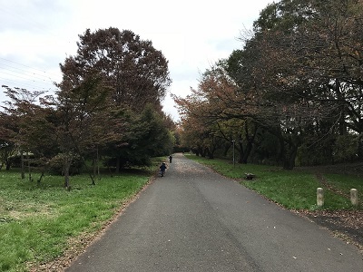 戦車道路（尾根緑道）